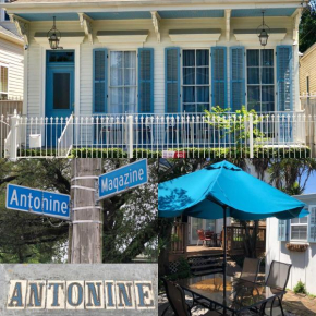 Отель Creole Cottage Uptown  Новый Орлеан